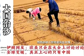 外国网友看中国治沙：中国人太勤劳了！视频封面