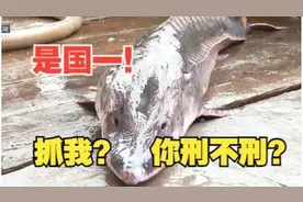 【1818黄金眼】渔民捞起了它，这可是国一！视频封面