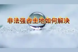 面对农村非法强占土地，农民该如何维权？