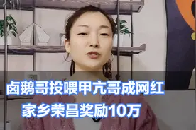卤鹅哥投喂甲亢哥成网红，家乡荣昌奖励10万，这波操作太牛了！视频封面