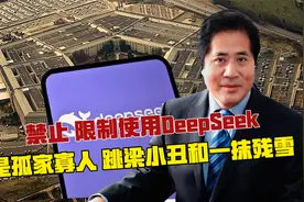 禁止、限制使用DeepSeek，是孤家寡人、跳梁小丑和一抹残雪视频封面