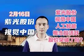 紫光股份 视觉中国  人工智能概念股活跃 股价突破了吗？