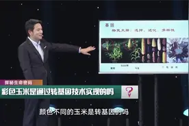 中学生如何判断转基因玉米视频封面