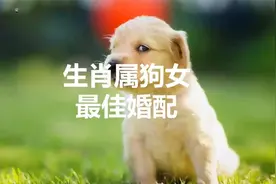 生肖属狗的女人最配哪些生肖男人？意想不到的组合让你惊喜！视频封面