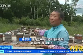 黑龙江双鸭山：黑熊出没蜂场，“暴力破拆”偷吃蜂蜜视频封面