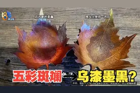 【1818黄金眼】铜制茶漏“五彩斑斓”  回炉加工“乌漆墨黑”？视频封面