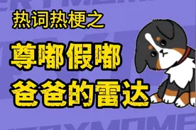 近期网络热梗合集，尊嘟假嘟+爸爸的雷达是什么梗？视频封面