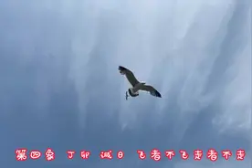 推背图  第四象  12月11日