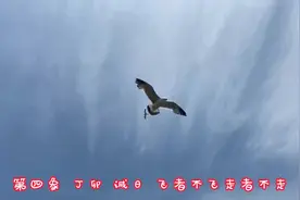 推背图  第四象  12月11日视频封面