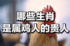 哪些生肖是属鸡人的贵人视频封面