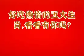 好吃懒惰的五大生肖，看看有你吗？视频封面