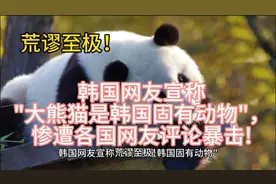 荒谬！韩国网友 -大熊猫是韩国固有动物，遭各国网友评论暴击!视频封面