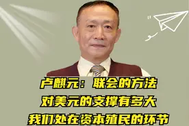 卢麒元：联会的方法对美元的支撑有多大，我们处在资本殖民的环节