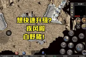 想快速升级？疾风殿，白野猪！