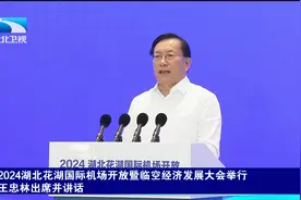 2024湖北花湖国际机场开放暨临空经济发展大会举行视频封面