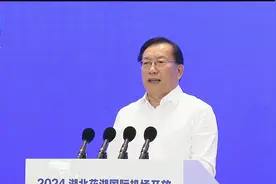 2024湖北花湖国际机场开放暨临空经济发展大会举行视频封面