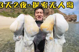 《马达加斯加》第8集：孤身荒岛探险，意外抓获巨型八爪鱼视频封面