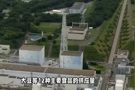 日本爆发粮荒，百姓卖身买饭，日媒：是中国人把我们的米吃贵了视频封面