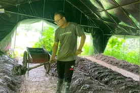 月入上万的农村养殖，只要不怕脏不怕累都可以做，看看是做什么的视频封面