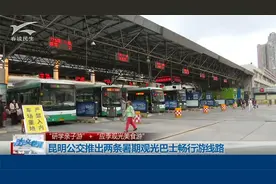 昆明公交推出两条暑期观光巴士畅行游线路