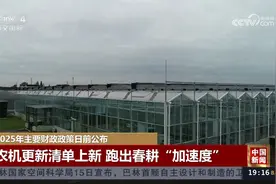 2025年主要财政政策日前公布视频封面