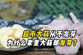 经常用大蒜“炝锅”，不仅有毒还致癌？有科学依据吗？视频封面