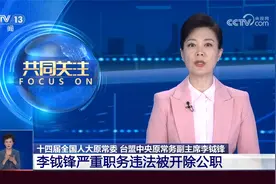 以“放贷收息”等隐蔽方式大肆敛财 李钺锋被开除公职视频封面