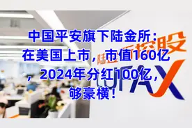 中国平安旗下放贷公司陆金所：在美国上市，2024年分红100亿