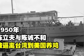 1950年，陈立夫与陈诚不和，被逼离台湾到美国养鸡：鸡不像人复杂视频封面