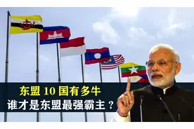 东盟10国有多牛？新加坡是金融中心，文莱人均GDP超3万美元视频封面