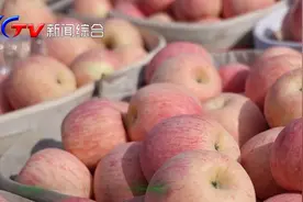 烟台市最大苹果交易市场，今年苹果行情怎么样？视频封面