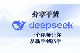 Deepseek的使用教程和高级玩法，1个视频讲清楚！