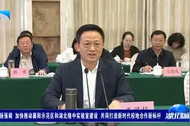 王祺扬强调 要加快推动襄阳示范区和湖北隆中实验室建设视频封面