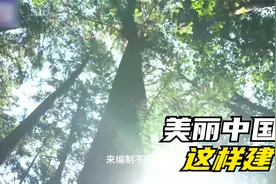 2025年的中国：全民当"包工头"，花式装修祖国计划！视频封面
