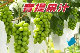 万万想不到葡萄还能这么吃