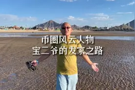 币圈风云人物宝二爷的发家之路，如何从卖牛肉小伙逆袭成百亿富豪视频封面