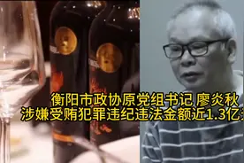 受贿近1.3亿！湖南纪委220秒披露：他带情人游玩 让商人“买单”视频封面