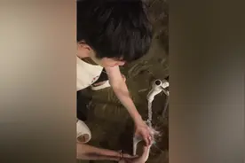 男友当众给女友洗脚，女友羞得害怕爸爸看到，一直喊不要超可爱视频封面