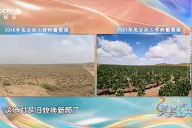 宁夏用葡萄让荒漠变绿洲视频封面