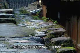 别人出片我 “出丑”，不会拍照太难了