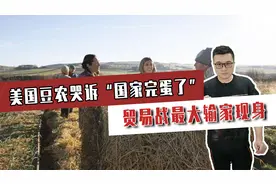 没法活了，美国豆农哭诉“国家完蛋了”！贸易战最大输家现身视频封面