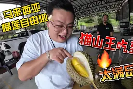 马来西亚榴莲自由啦！猫山王吃到爽，太满足了！视频封面