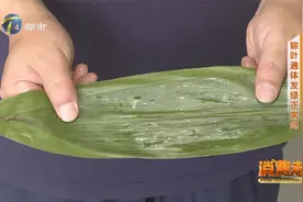 干粽叶鲜粽叶如何挑选 粽叶通体发绿正常吗视频封面