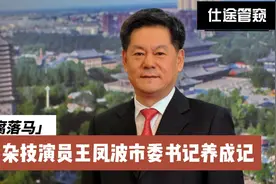 杂技演员王凤波的市委书记养成记
