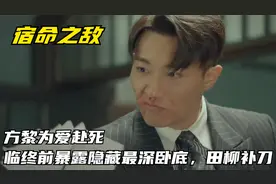 宿命之敌：方黎为爱赴死，临终前暴露隐藏最深卧底，田柳补刀视频封面
