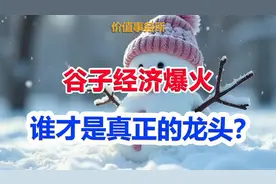 这才是AI后最大风口的最强龙头，同时也是AI 最强龙头视频封面