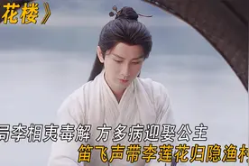 莲花楼：大结局李相夷毒解，方多病娶公主，笛飞声李莲花归隐渔村视频封面