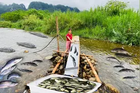 农村娇妻聪慧能干，独自打造全自动捕鱼器，自动抓鱼解放双手视频封面