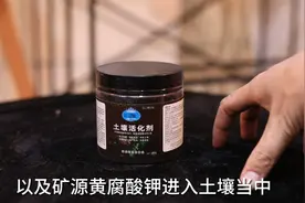 养花土壤板结变硬不透水怎么办？园艺师教你，使用土壤活化剂