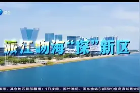 对话新区 派江吻海“探”新区（中）--- 展开新区的画卷视频封面